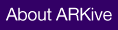 About ARKive